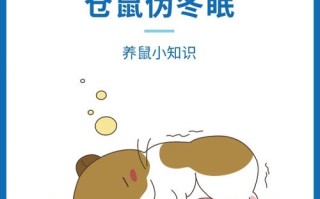 仓鼠伪冬眠怎么救活，仓鼠伪冬眠救活又睡了