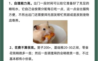 仓鼠的饲养方法和注意事项图片，仓鼠的饲养方法和注意事项图片视频