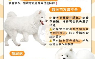 萨摩耶犬喂养和护理，萨摩耶犬饮食应注意什么