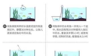 海水鱼新鱼入缸，新买的海水鱼入缸步骤