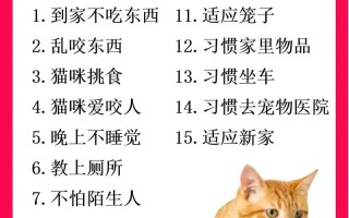 怎么训练猫咪不上桌？培养良好习惯