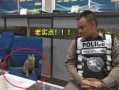 猫咪深夜外出被捕后拍照成网红！这么做，竟能让猫多活10年 猫咪晚上跑出去了