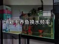 鱼缸换水怎么换?，鱼缸换水怎么换最好