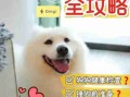 犬类日常用品介绍 犬类用途