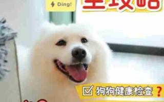 犬类日常用品介绍 犬类用途