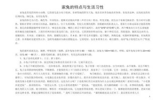 兔子饲养方法注意事项，兔子饲养方法注意事项和禁忌