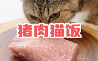 训练猫咪捉老鼠可以用猪肉吗?，训练猫咪捉老鼠可以用猪肉吗为什么