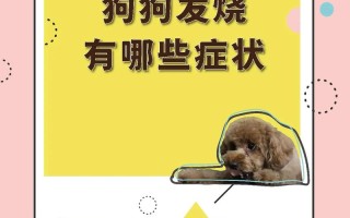 狗狗发烧会出现什么症状