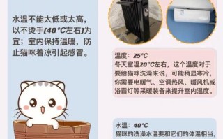 如何给波斯猫洗澡并在家里养，波斯猫的喂养及养护要点