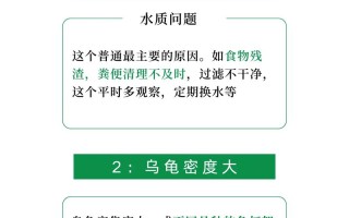 巴西龟饲养视频大全，巴西龟养殖技术视频教程