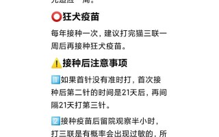 养猫咪需要注意事项：宠物生活贴心指南！