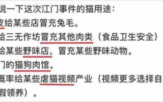 月入4千，给猫治病花了4万！别再喂猫咪吃致癌物了 宠物猫治病要花多少钱