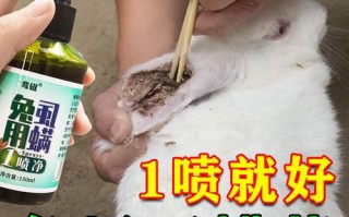 怎么知道兔子耳朵有没有虫，怎么判断兔子耳朵是否有耳螨