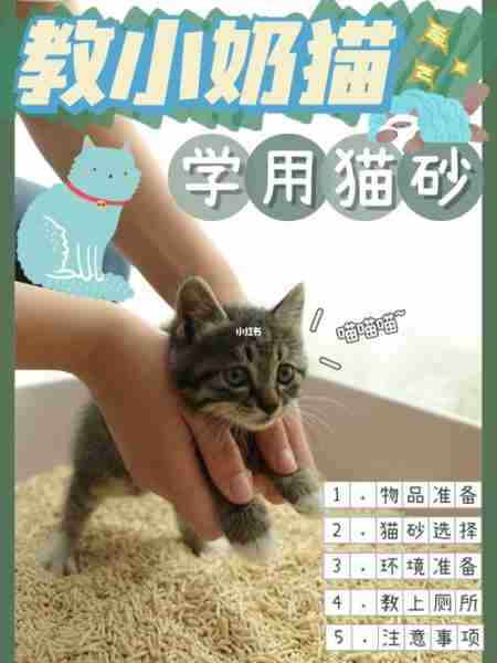 怎么训练猫使用猫砂？如何有效训练猫使用猫砂？