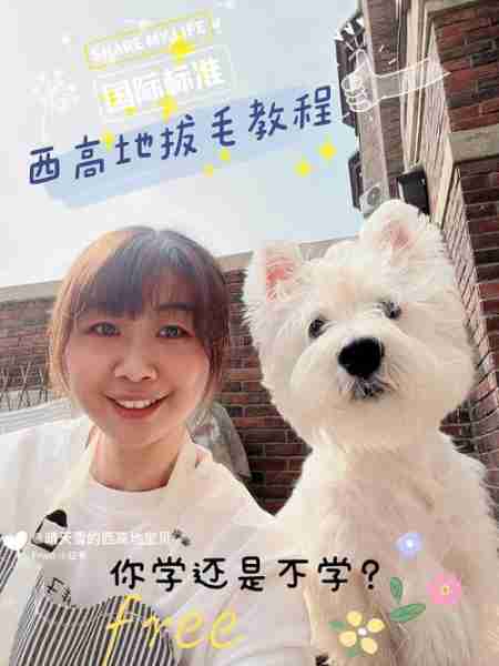 犬美容的基本手法 宠物狗狗美容教程视频