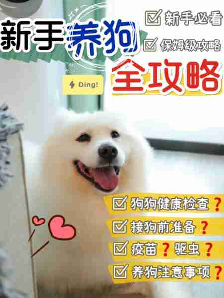 犬类日常用品介绍 犬类用途