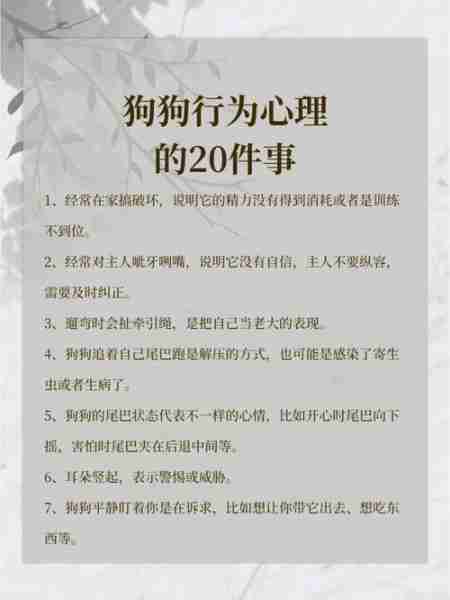 犬的常见心理活动 犬的常见心理活动包括