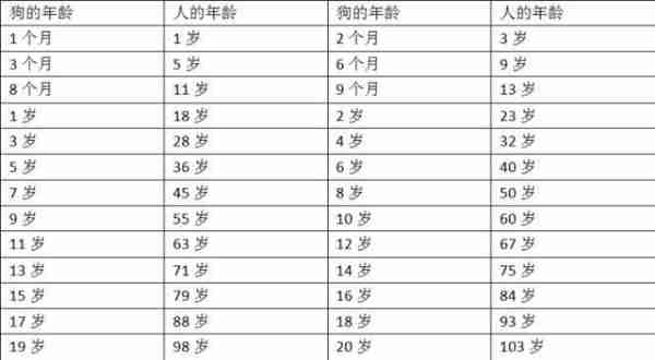 怎样判断爱犬的年龄 如何辨别犬的年龄