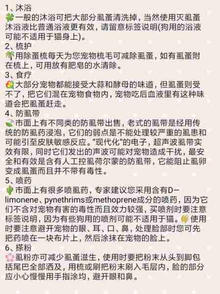 如何防治小狗有虱子 怎样根治狗虱