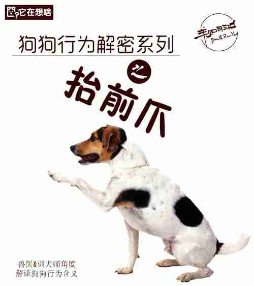 犬的心理特性分析 犬的心理特性分析图