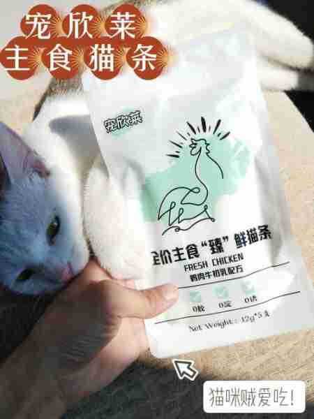 黑猫吃2元一斤渣粮后褪色成灰猫！保护主子猫毛健康需要这么做 黑猫吃2元一斤渣粮后怎么办