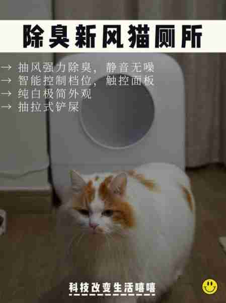 让猫咪像人一样蹲厕所是害猫！多久铲屎一次对猫最好？ 然后让猫在猫砂盆里拉屎