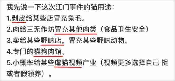 月入4千，给猫治病花了4万！别再喂猫咪吃致癌物了 宠物猫治病要花多少钱