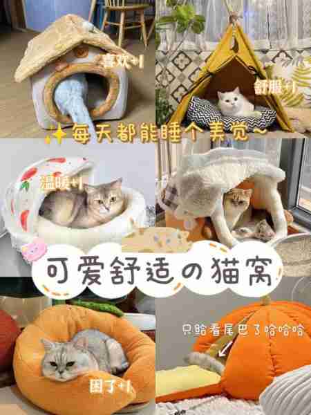 怎么训练猫睡猫窝 怎样培养猫咪睡猫窝