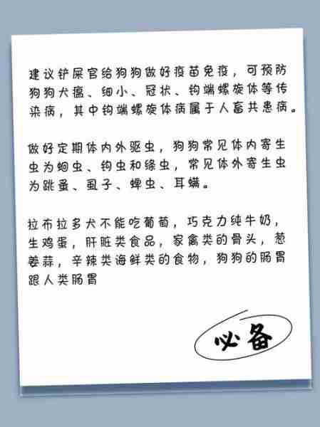 拉布拉多犬的喂养方法是什么 拉布拉多犬的喂养方法教程