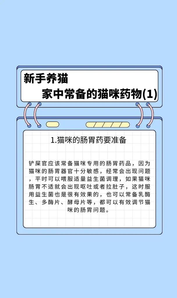 猫咪常用药物指南：了解常见药物及使用注意事项