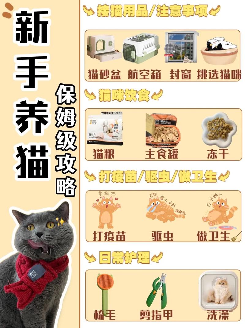 养猫咪需要注意的事项：新手必读的养猫指南