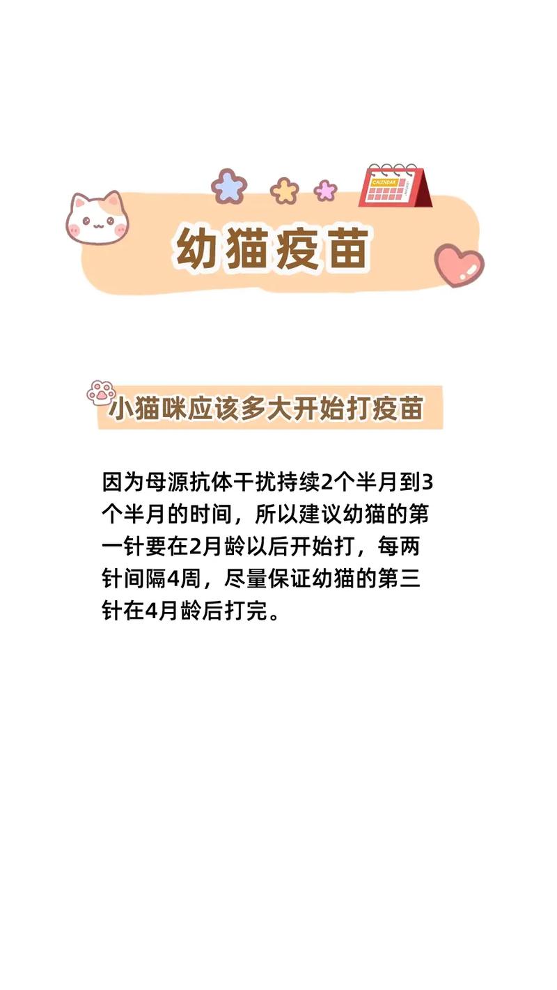 哪些情况引起猫咪疫苗过敏(猫咪疫苗什么情况下会接种不成功)