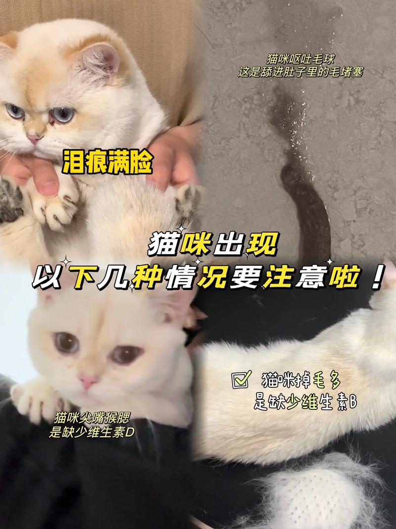 猫咪为什么会吐毛球和呕吐，猫为什么会吐出来毛