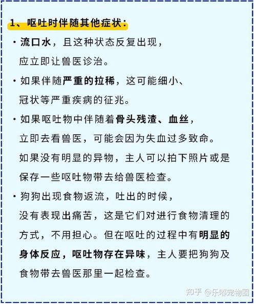 怎么观察小狗呕吐是什么原因，犬呕吐的鉴别诊断