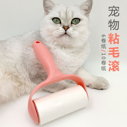 猫掉毛弄衣服上怎么办？解决猫毛粘在衣服上的妙招