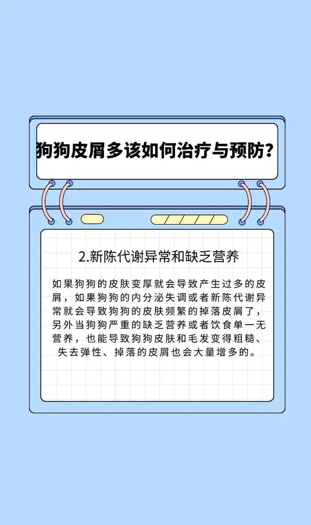 狗狗身上的皮屑怎么办：原因、预防和治疗方法