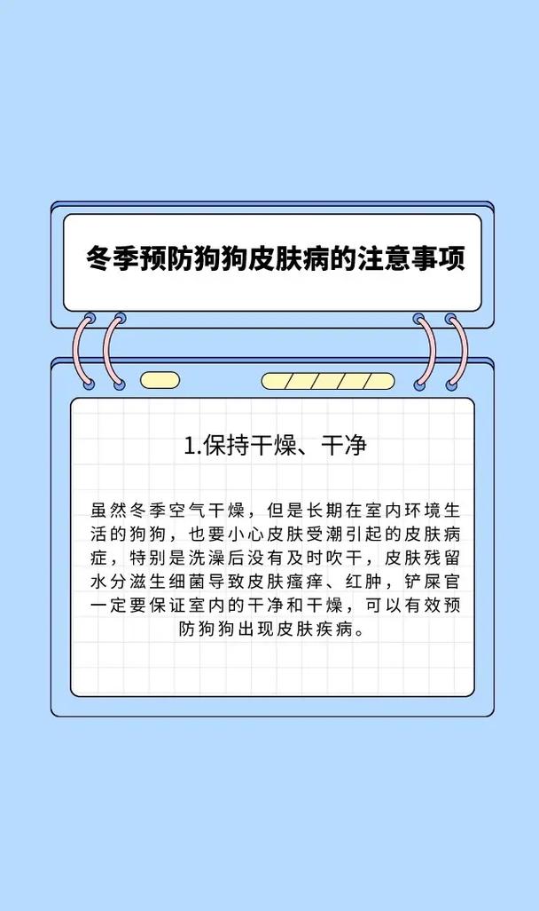 咋给狗狗洗澡：步骤、技巧和注意事项