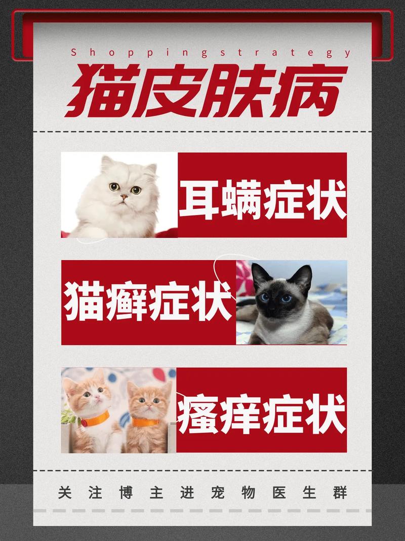 猫咪的皮肤病是什么引起的，探究成因和治疗方法