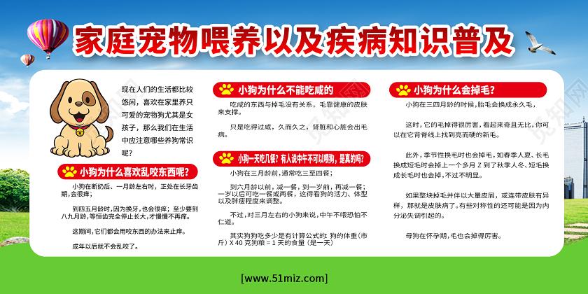 细解宠物的喂养知识有哪些，宠物饲养小知识