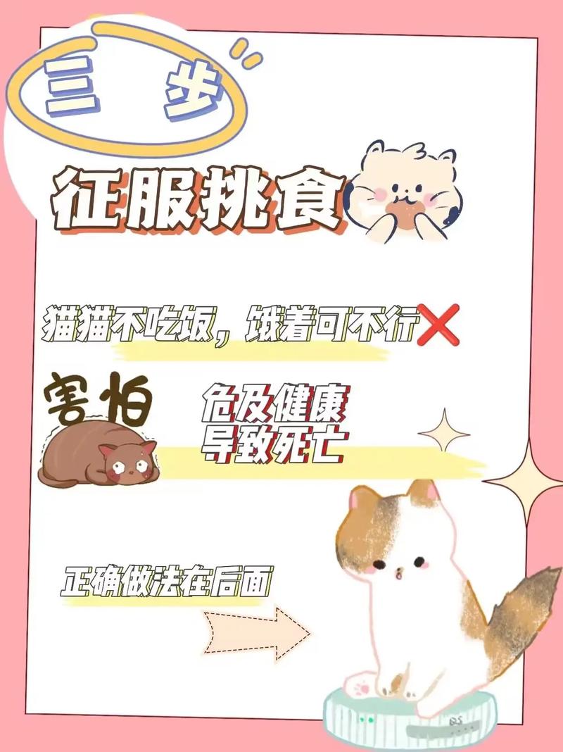 猫咪挑食怎么办?教你吃饭，猫咪挑食怎么解决