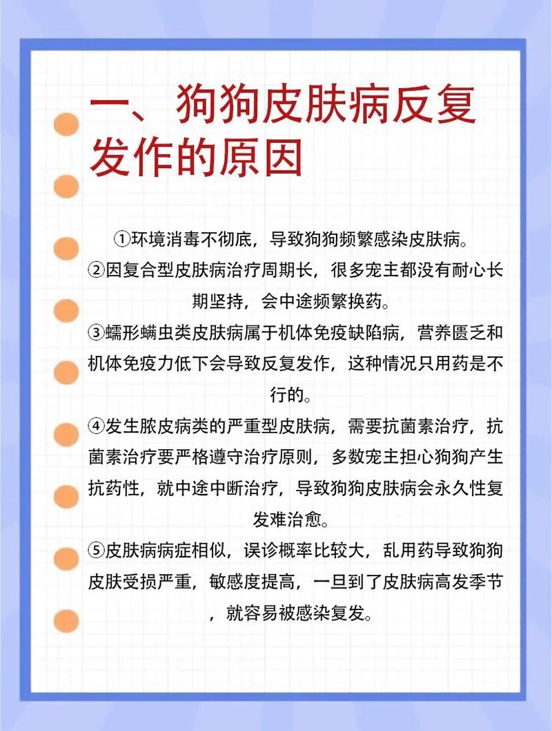 狗狗皮肤病是什么样的：症状、原因和治疗方法