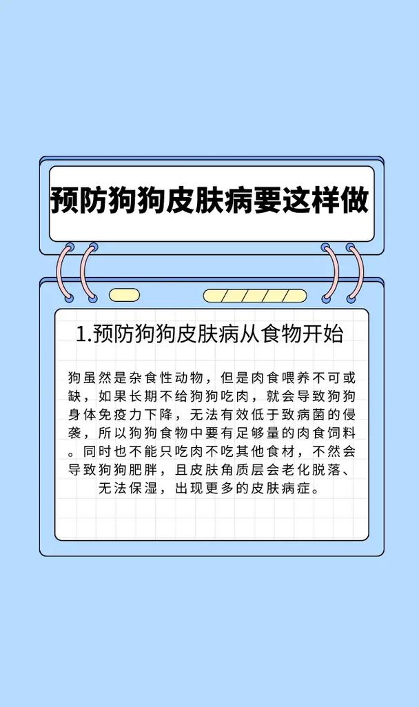 如何防止狗狗得皮肤病：预防狗狗皮肤病的有效方法