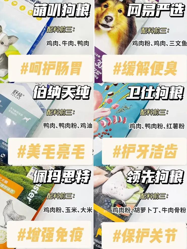 狗粮怎么喂给小狗狗吃：狗粮喂食指南