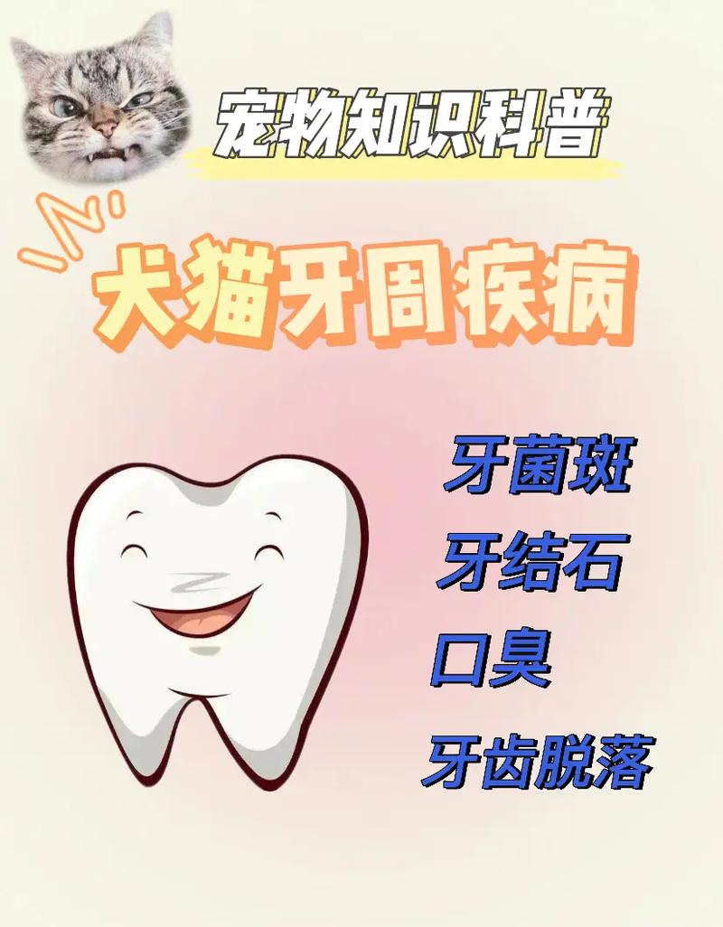 狗狗有牙周炎牙齿松动怎么办？有效的应对方法