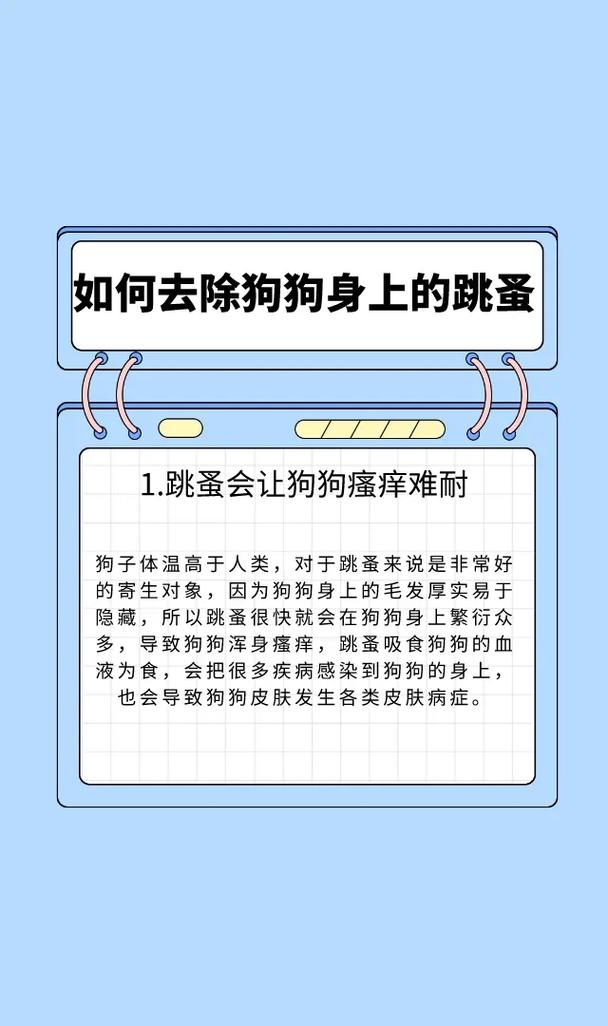 怎样消除狗狗身上的跳蚤：有效消除跳蚤的方法大揭秘！