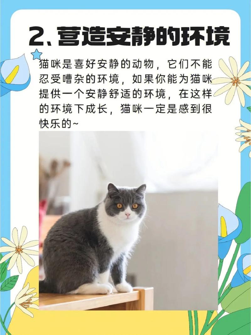 怎么能让猫咪记住自己的名字，5个简单方法