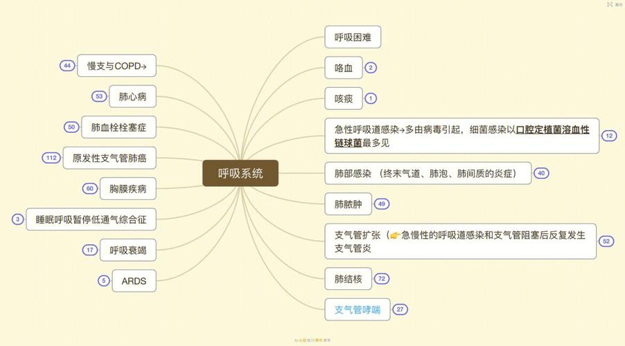 兔的呼吸系统特点，兔的呼吸系统结构图