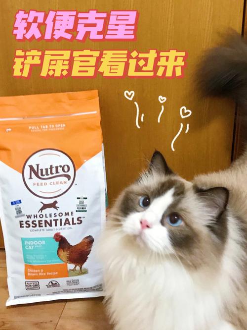 布偶猫应该吃什么猫粮，布偶猫吃什么猫粮不拉软便