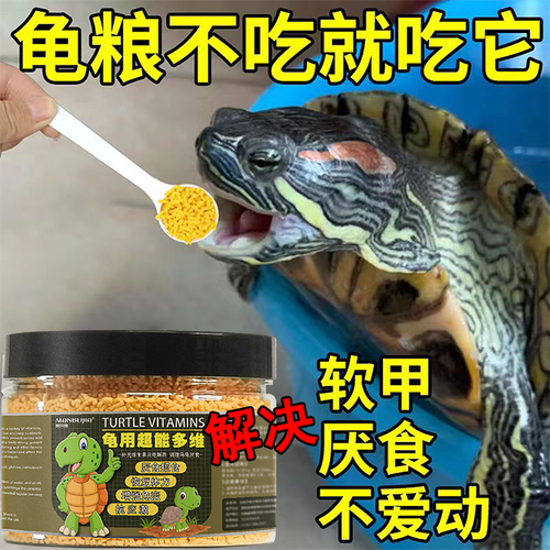 乌龟食欲不好,用什么药物治疗，乌龟食欲减退