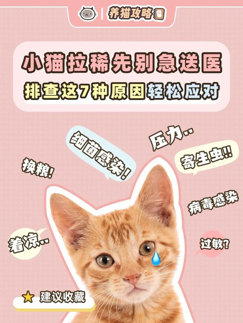 2个月小猫拉稀怎么办，2个月小猫咪拉稀咋办?